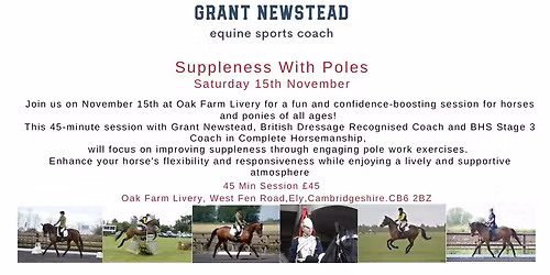 Suppleness with Poles 15th November 
