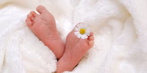 Getting To Know Your Baby