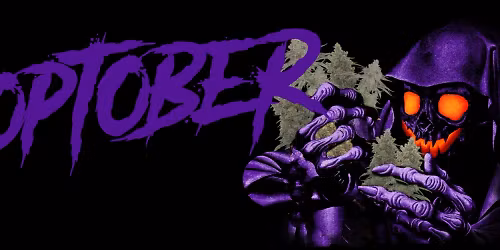 Money Man in Enschede