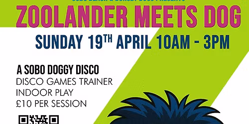 Zoolander Meets Dog \u2013 SOBO Dog Disco! \ud83d\udc15\ud83e\udea9