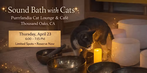 Sound Bath with Cats - Purrrlandia Cat Lounge & Cafe
