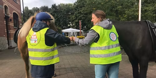 Ce 19\/9\/26 tous avec nos chevaux sur la route Paard op de baan