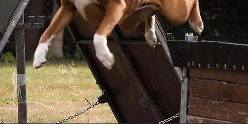 0rtsgruppenpr\u00fcfung 