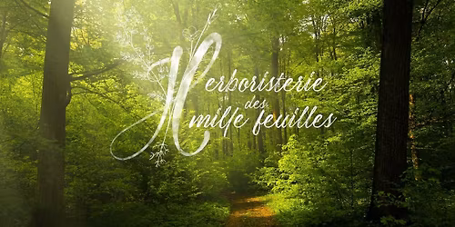 Sortie D\u00e9couverte des plantes m\u00e9dicinales et comestibles - Theiz\u00e9