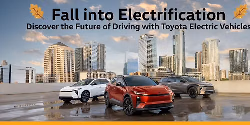 Fall into Electrification