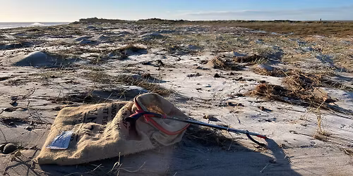 New Year Beach Clean