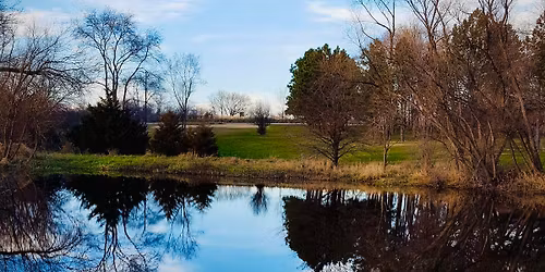 Plastic Pollution and Public Health Solutions