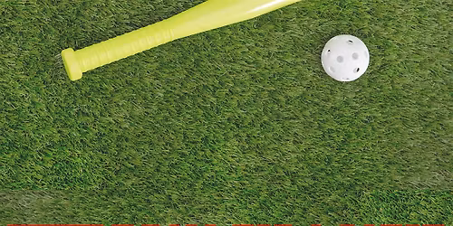 Wiffle Ball for a Cause!