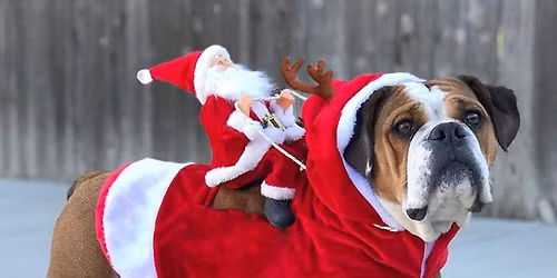 Join the Santaverse! BFF in the Mayor's Christmas Parade!!