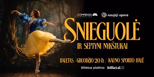 BALETAS SNIEGUOL\u0116 IR 7 NYK\u0160TUKAI \/ KAUNAS \/ 12.20