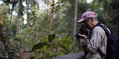 Photowalk: Reimagining Nature