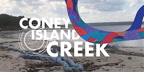 Sand Study Stewardship & International Coastal Clean-up Dance Party!
