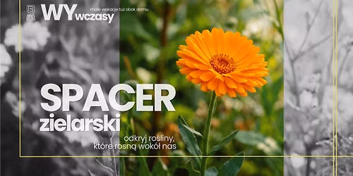 WYwczasy: spacer zielarski - odkryj ro\u015bliny, kt\u00f3re rosn\u0105 wok\u00f3\u0142 nas