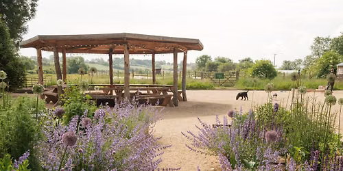Gardening for Your Gut Day Retreat - Creating a Health Microbiome both Inside and Out