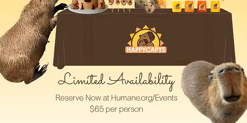 Cakes, Capys and Midday Mimosas!