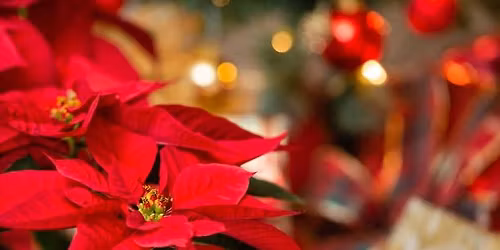 Naples Italian American Foundation Poinsettia Ball with the Girls of Motown