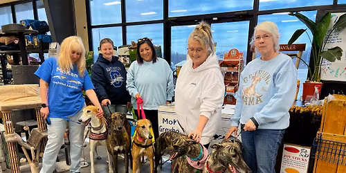 Adoption Event - Four Paws Pantry & Spa