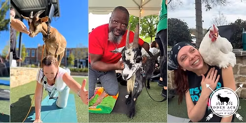 Goat Yoga at the Mill On Etowah