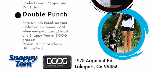 Double Punch Demo Day!
