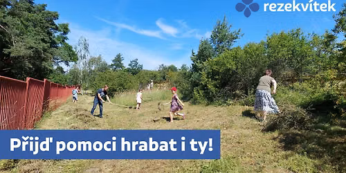 Den koniklecov\u00e9 louky
