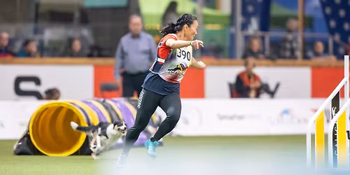 Agility handlingkurs med Trine Thorkildsen