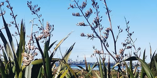 Auckland Homeschool Explorers