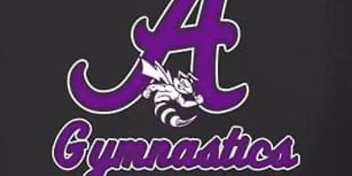 Angola High School Gymnastics T-Shirt Night