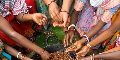 Forest Trails & Mahua Tales: A Journey into Jharkhand\u2019s Living Heritage