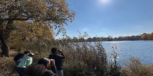 Birding, Grief and Interdependence \/ Black Birder's Week
