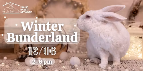 \ud83d\udc07\u2744\ufe0f Winter Bunderland \u2744\ufe0f\ud83d\udc07