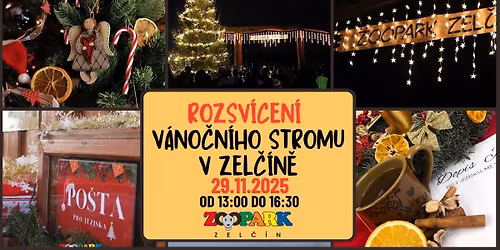 ROZSV\u00cdCEN\u00cd V\u00c1NO\u010cN\u00cdHO STROMU V ZEL\u010c\u00cdN\u011a