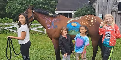 Beginner Summer Horse Camp!