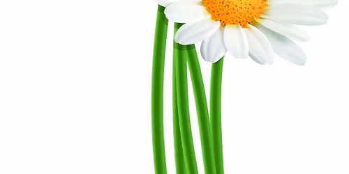 Family Council's 14th Annual Education Afternoon: Let's Talk About Wills and Powers of Attorney