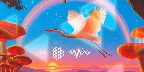 14 years of discotech x UNUM Festival w\/ Lukas Wigflex