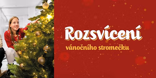 Rozsv\u00edcen\u00ed v\u00e1no\u010dn\u00edho strome\u010dku v OC Lu\u017einy