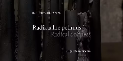 Ehten\u00e4itus RADIKAALNE PEHMUS \/ Jewellery exhibition RADICAL SOFTNESS