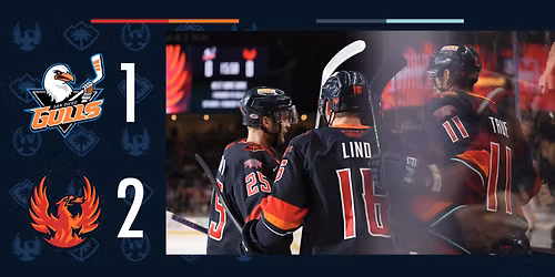 San Diego Gulls at Coachella Valley Firebirds at Acrisure Arena