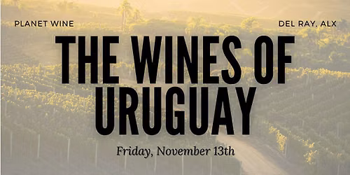 The Wines of Uruguay