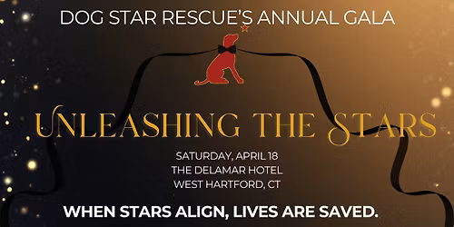 Unleashing the Stars Gala Benefitting Dog Star Rescue
