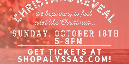 Christmas Reveal 2025