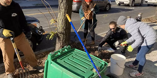 Street Tree Care w\/Cypress Hills Local Development Corporation, Inc.