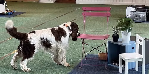 Offisiell pr\u00f8ve i smeller klasse 1, 28.02 og 01.03 2026