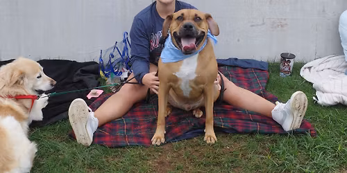 Tito's Tail Waggin' Tuesday - July 7