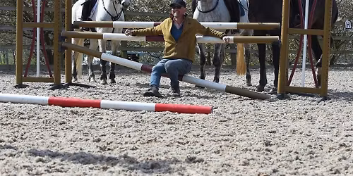 Gymnastic Grids and Lines with Petros Spiliopoulos