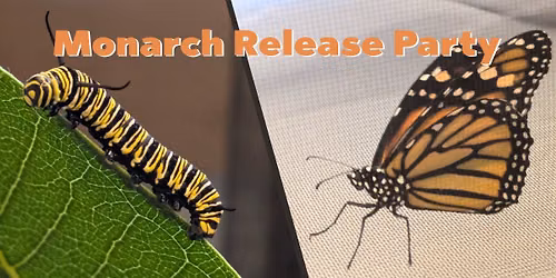 Monarch Release Party 