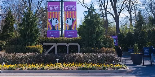 A "LINH-credible" Adventure to the National Zoo