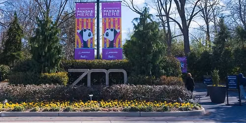 A "LINH-credible" Adventure to the National Zoo