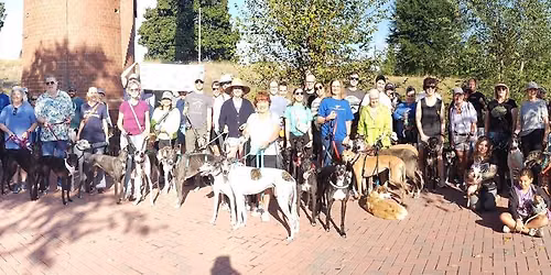 Great Global Greyhound Walk - Raleigh