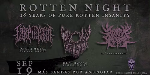 Rotten Night : 16th years of Rotten Insanity