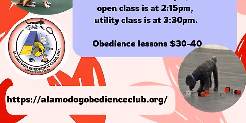 Competition Obedience Classes
